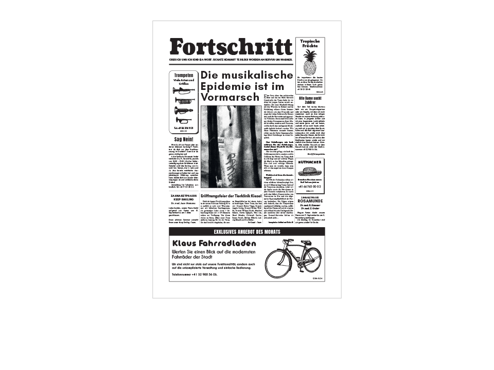 Fortschritt Newspaper Cover